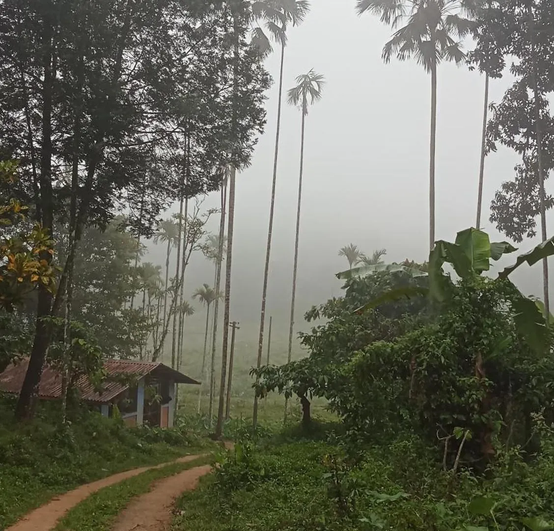 Diamond Villas Wayanad Entire Villa Booking Mananthavady